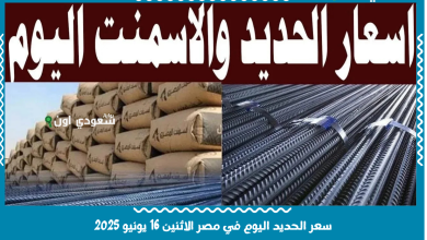 سعر الحديد اليوم في مصر الاثنين 16 يونيو 2025